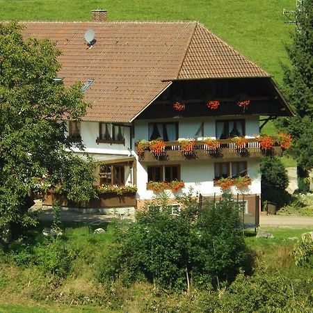 Schusselehof Apartment Oberprechtal Exterior foto